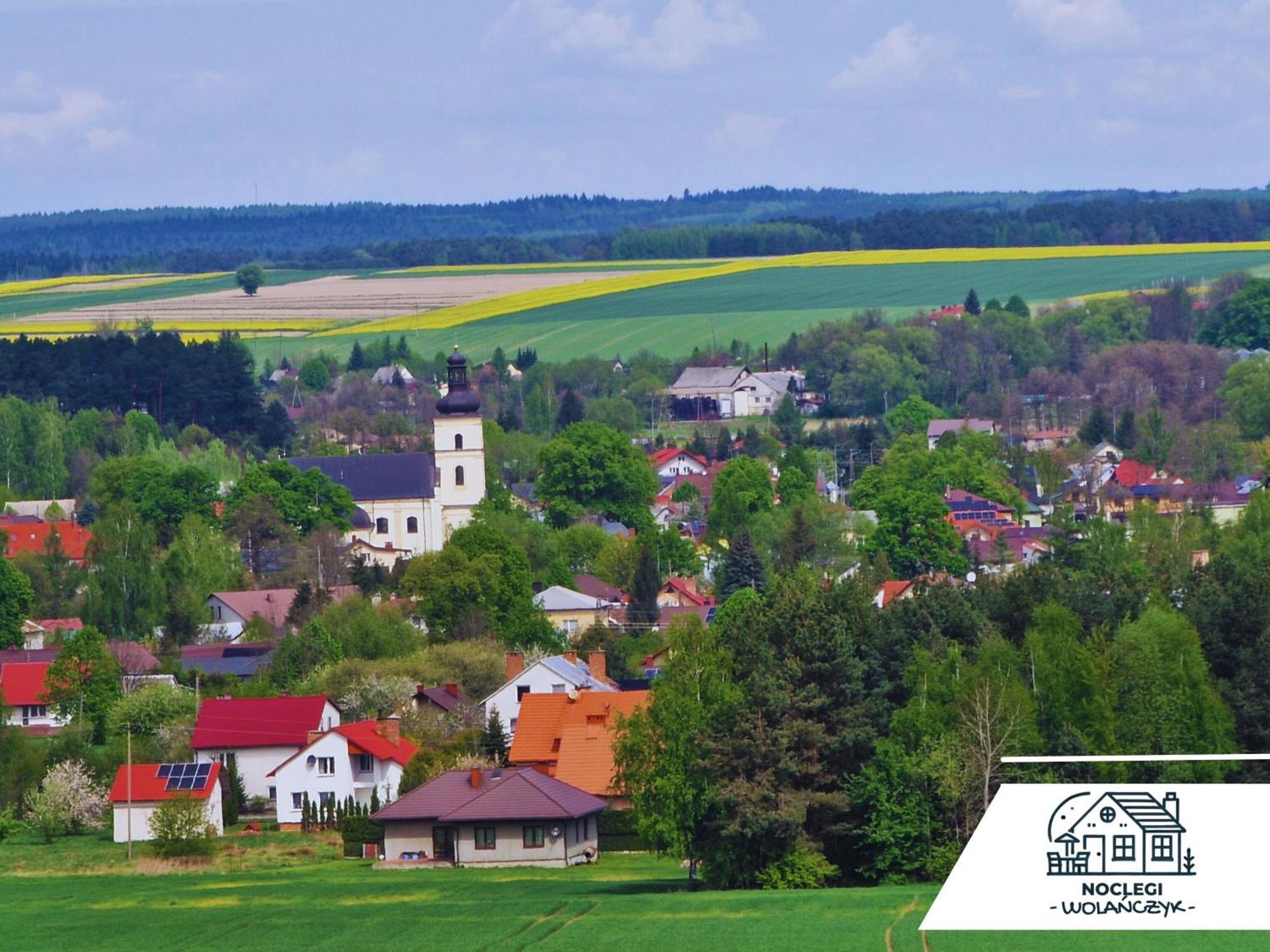 Wola Wielka - Domki Wygoda Nr2 Narol Buitenkant foto